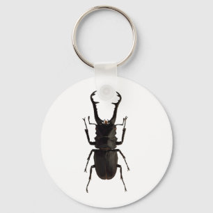 Stag Beetle Nyckelring