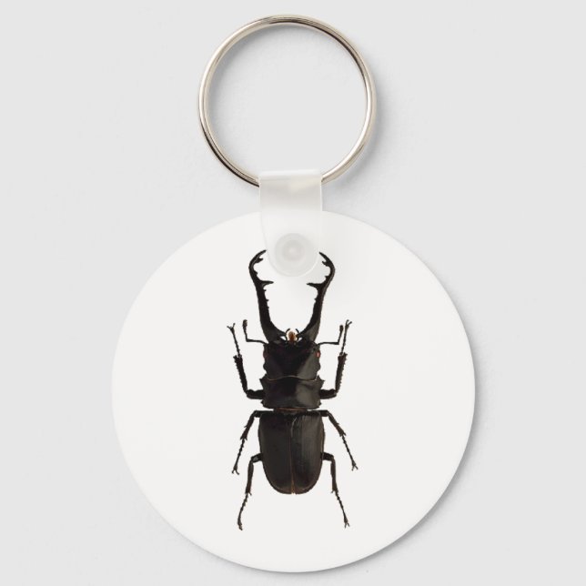 Stag Beetle Nyckelring (Framsida)