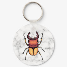 Stag Beetle QR Code Insect Art Entomology