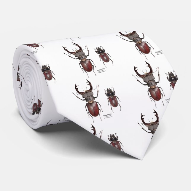 Stag Beetle Slips (Rullad)