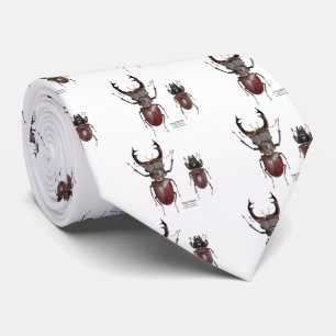 Stag Beetle Slips
