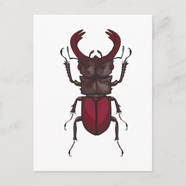 Stag beetle vykort (Framsida)