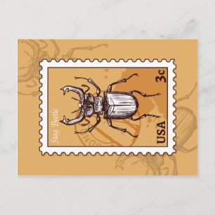 Stag Beetle Vykort