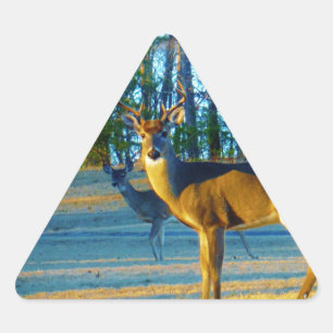 Stag/Buck Hjort, Bright blå himmel Triangelformat Klistermärke