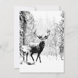 Stag Hjort Winter Forest Wildlife Animal Nature Ar