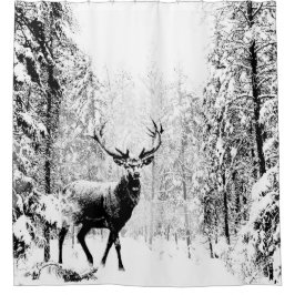 Stag Hjort Winter Forest Wildlife Animal Nature Ar