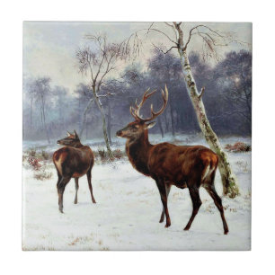 Stag och due i ett snöliggande kakelplatta