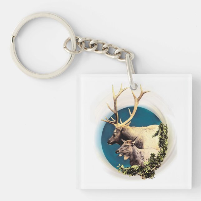 Stag och hink (Framsidan)