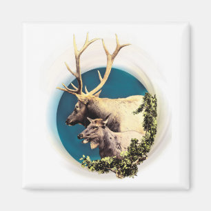 Stag och hink magnet