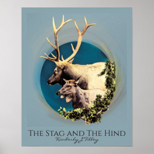 Stag och hink poster