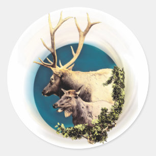 Stag och hink runt klistermärke