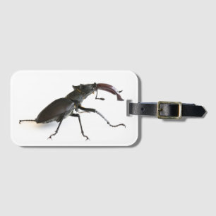 Stag-skalbagge Bagagebricka