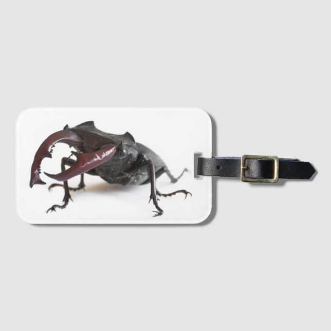 Stag-skalbagge Bagagebricka (Framsida horisontal)