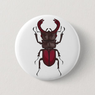 Stag-skalbagge Knapp