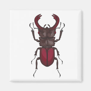 Stag-skalbagge Magnet