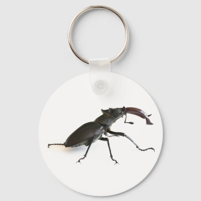 Stag-skalbagge Nyckelring (Framsida)