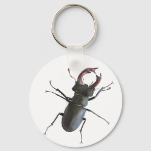 Stag-skalbagge Nyckelring
