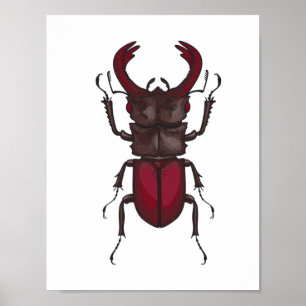 Stag-skalbagge Poster