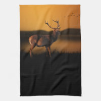 Stag Sunrise Misty Morgon Hjort
