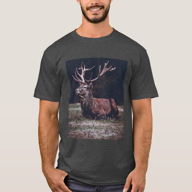 Stag T Shirt (Framsida)