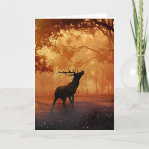Stag vid solnedgång kort