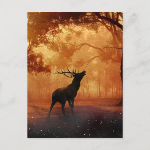 Stag vid solnedgång vykort