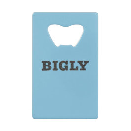 STAINLESS STEEL BIGLY DESIGN FLASKA OPENER KREDITKORT FLASKÖPPNARE