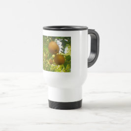 Stainless Steel Travel/Commuter Mugg, 15 oz Resemugg