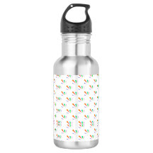 Stainless steel water bottle with a black cap 
