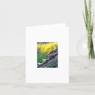 Stairway Notecard Kort