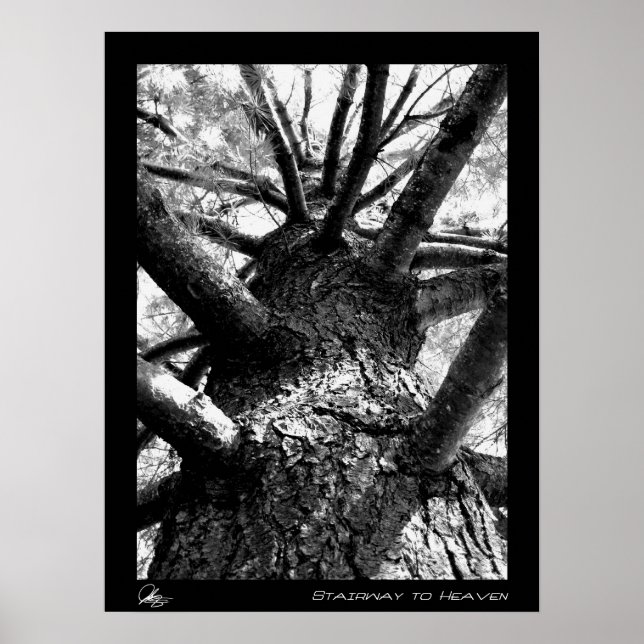 Stairway till himlen poster (Framsidan)