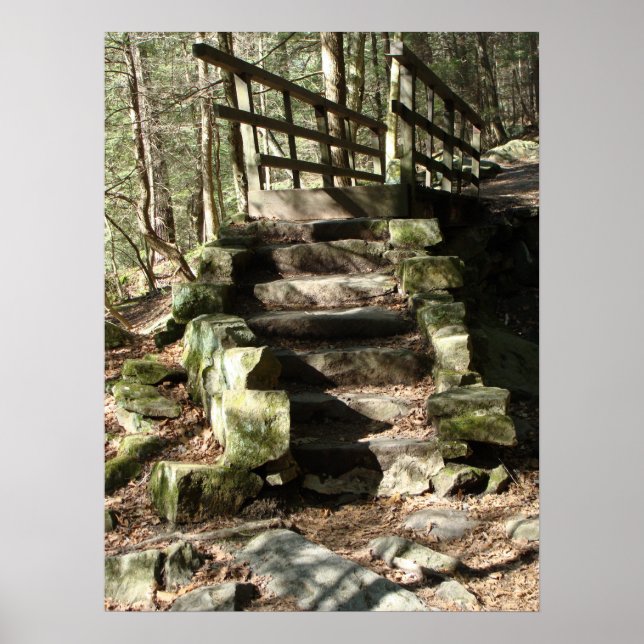 Stairway till Skogen Poster (Framsidan)