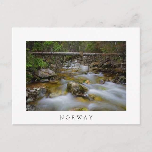 Stakskogens vita vykort bäck (Framsida)