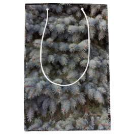 Stål-, grått-, grönt- och blåsgrödlassi