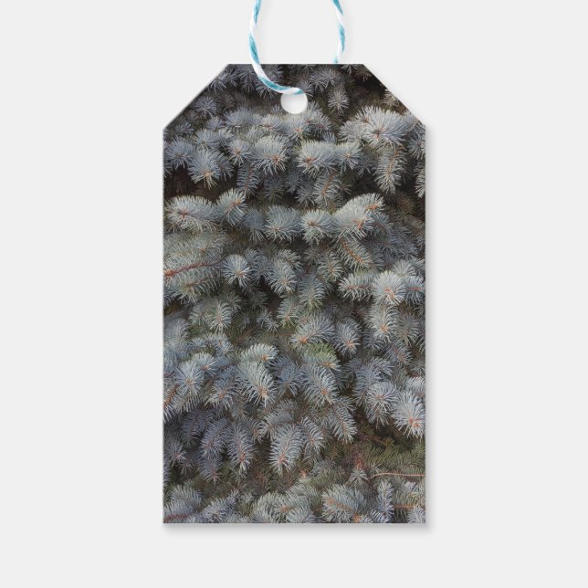 Stål, grått, grönt och blygryndsmedium presentetikett (Framsidan)