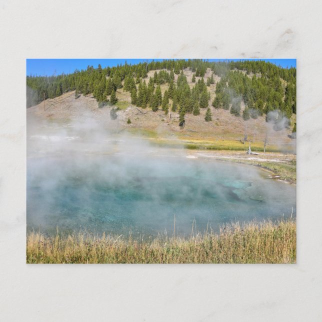 Stålbrobassängen, Yellowstone nationalpark Vykort (Framsida)
