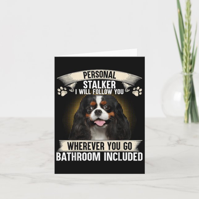 Stalker jag följer dig Cavalier King Charles  Kort (Framsida)