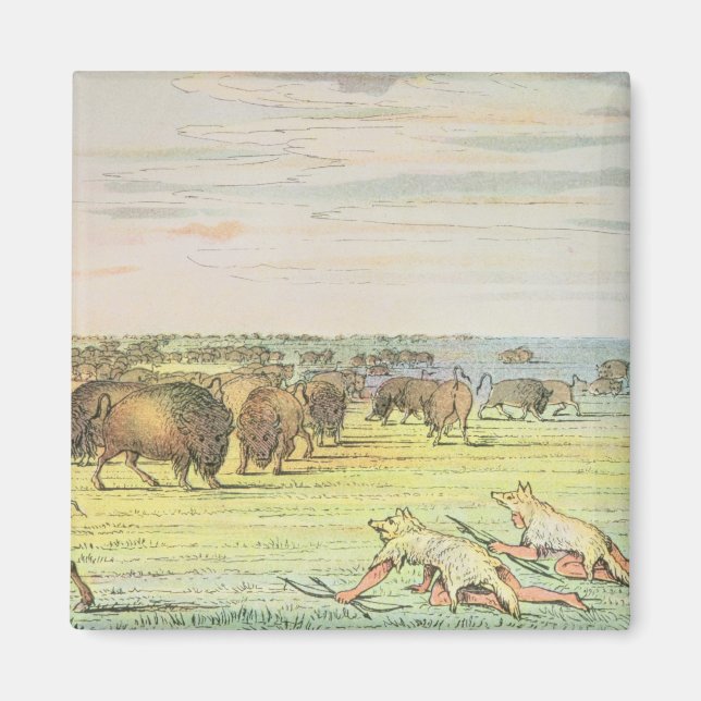 Stalking buffalo magnet (Framsidan)