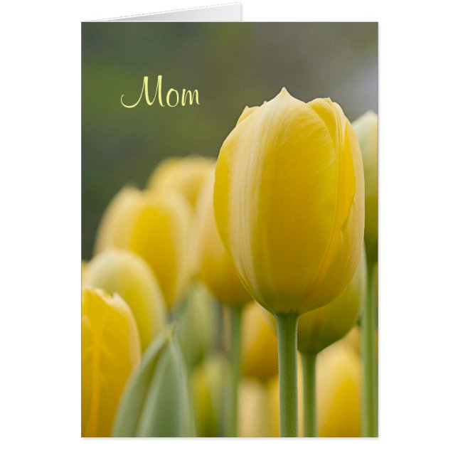 Ställ upp tupplapp hälsningskort (Framsidan)