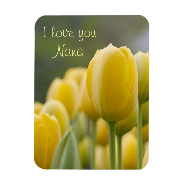 Ställ upp tupplapp magnet (Vertikal)