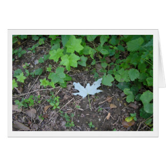 Ställ ut hälsningskort