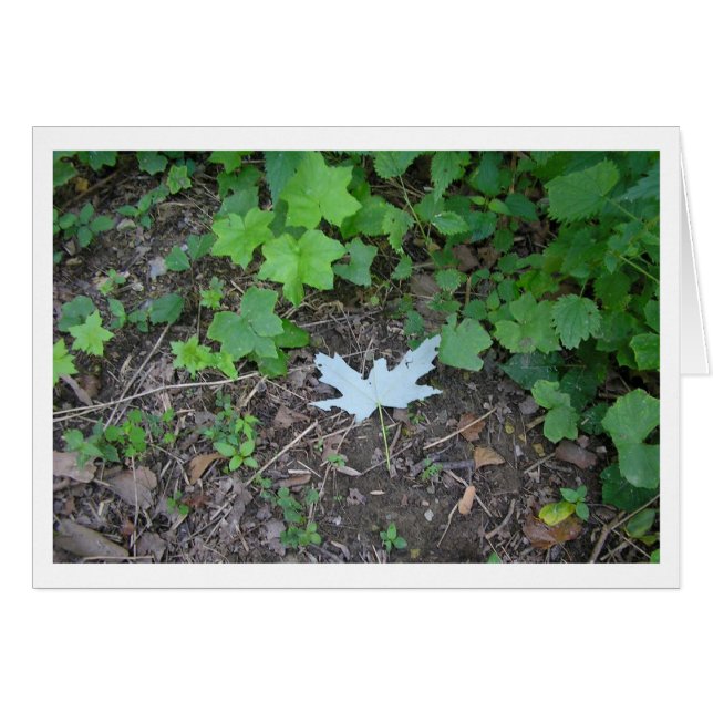 Ställ ut hälsningskort (Framsidan Horizontal)