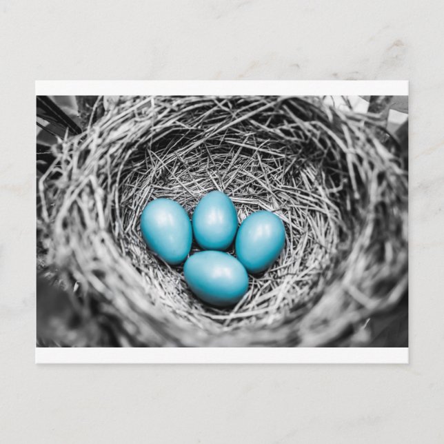 Ställ ut vykort (Framsida)