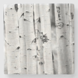 Ställa upp lång Aspen Underlägg Sten