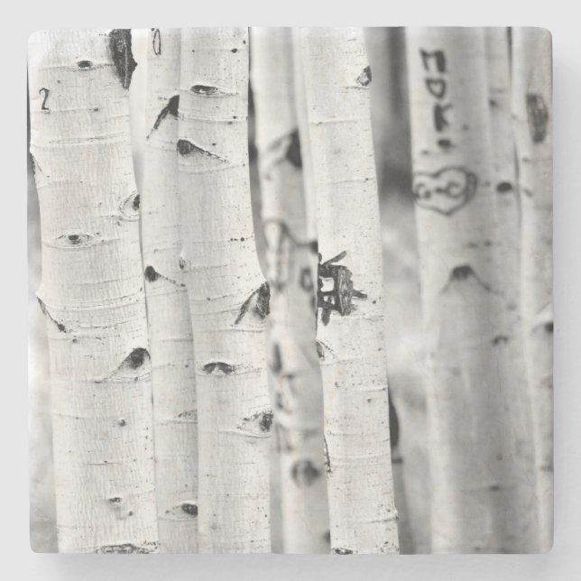 Ställa upp lång Aspen Underlägg Sten (Framsidan)