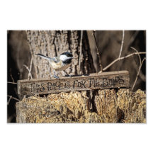 Ställe är till för fåglar