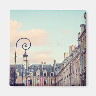 Ställe des Vosges Paris Photo Magnet