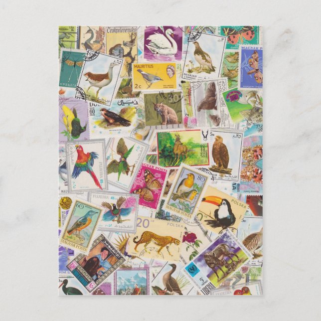 Ställe Frimärke här Vykort (Framsida)