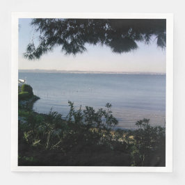 Ställe Pappersservett