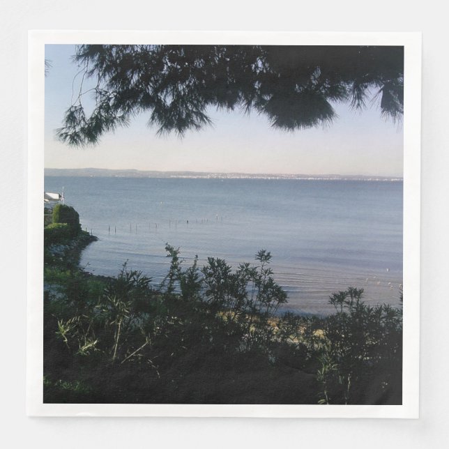 Ställe Pappersservett (Framsida)